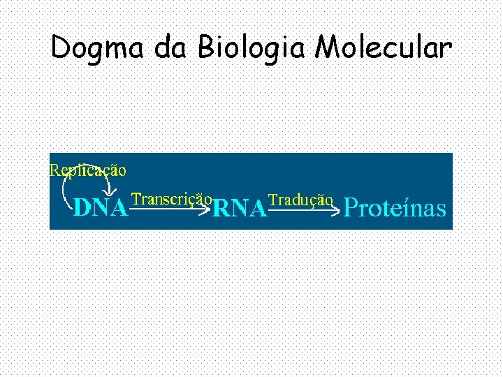 Dogma da Biologia Molecular 