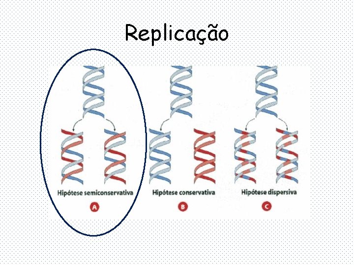 Replicação 