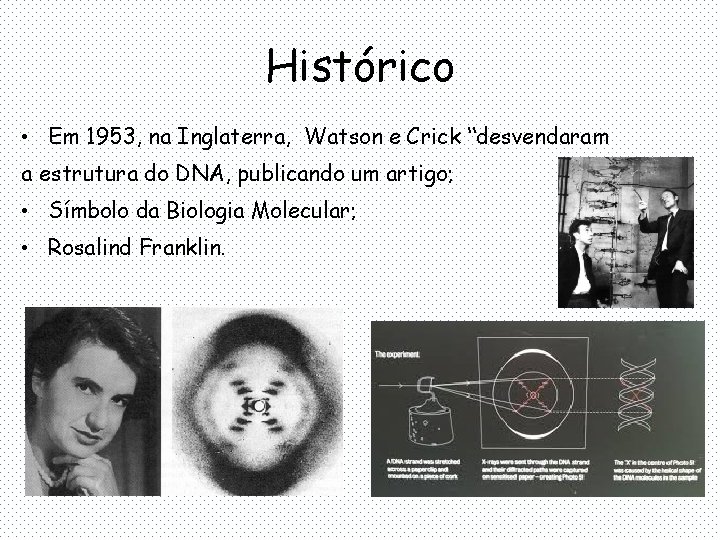 Histórico • Em 1953, na Inglaterra, Watson e Crick “desvendaram a estrutura do DNA,