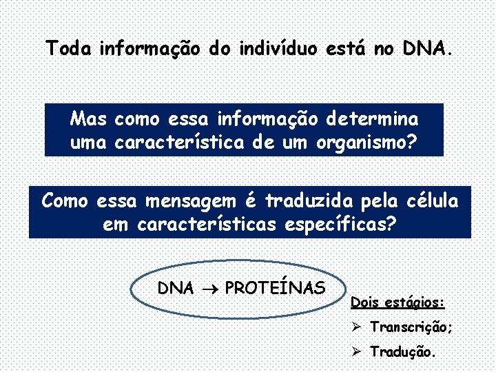 Toda informação do indivíduo está no DNA. Mas como essa informação determina uma característica