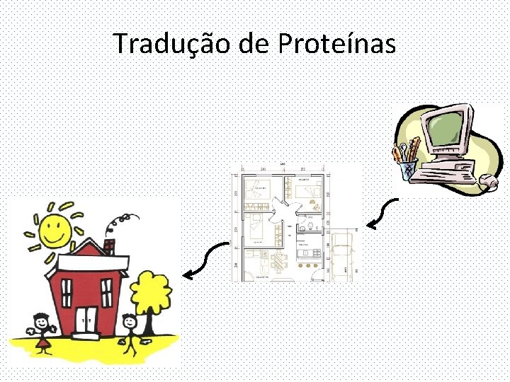 Tradução de Proteínas 