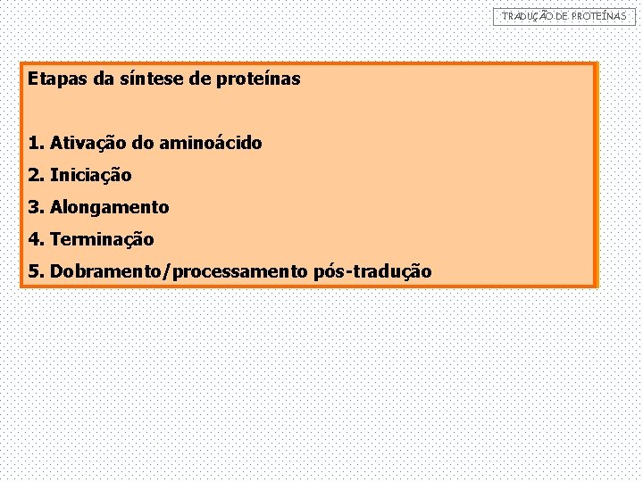 TRADUÇÃO DE PROTEÍNAS Etapas da síntese de proteínas 1. Ativação do aminoácido 2. Iniciação