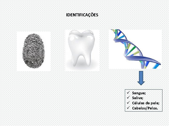 IDENTIFICAÇÕES ü ü Sangue; Saliva; Células da pele; Cabelos/Pelos. 