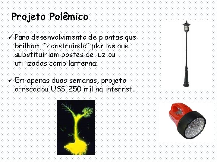 Projeto Polêmico ü Para desenvolvimento de plantas que brilham, “construindo” plantas que substituiriam postes