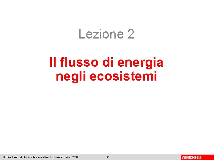 Lezione 2 Il flusso di energia negli ecosistemi Cristina Cavazzuti, Daniela Damiano, Biologia, Zanichelli