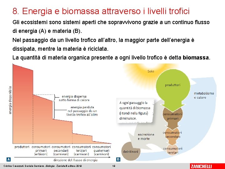 8. Energia e biomassa attraverso i livelli trofici Gli ecosistemi sono sistemi aperti che