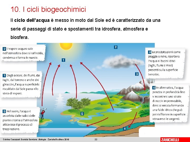 10. I cicli biogeochimici Il ciclo dell’acqua è messo in moto dal Sole ed