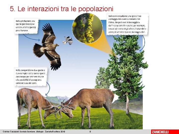 5. Le interazioni tra le popolazioni Cristina Cavazzuti, Daniela Damiano, Biologia, Zanichelli editore 2019