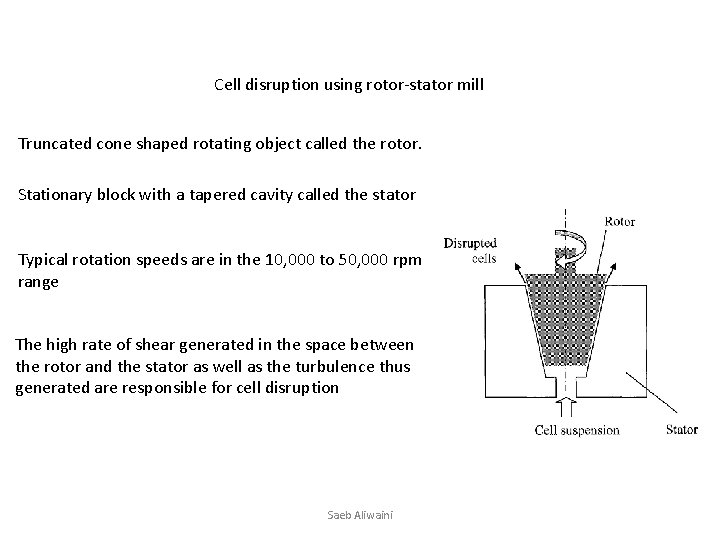 Cell disruption using rotor-stator mill Truncated cone shaped rotating object called the rotor. Stationary