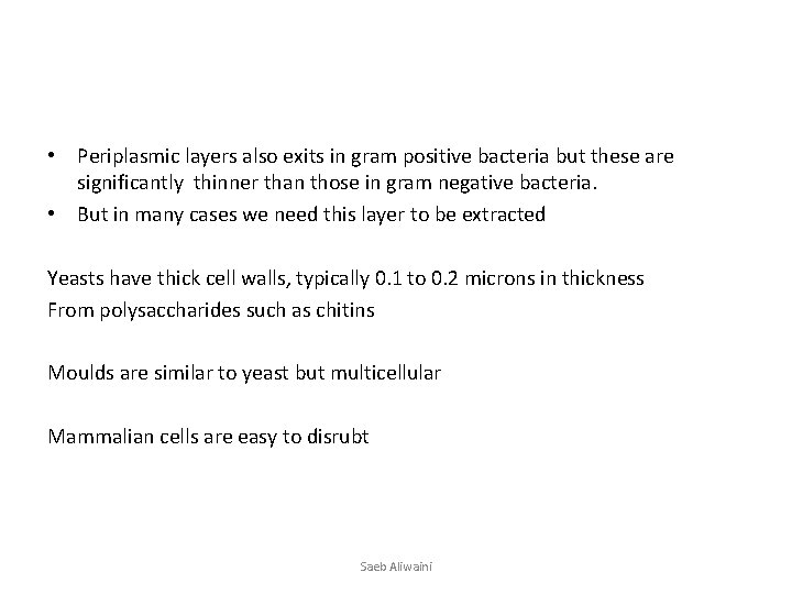  • Periplasmic layers also exits in gram positive bacteria but these are significantly