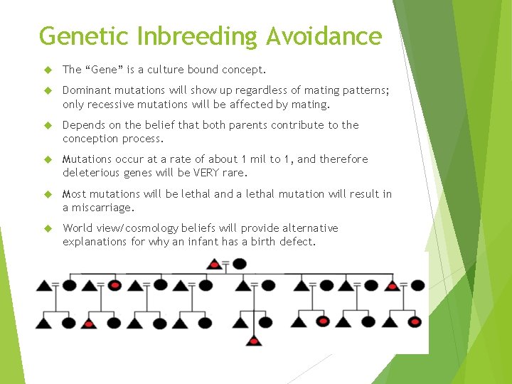 Genetic Inbreeding Avoidance The “Gene” is a culture bound concept. Dominant mutations will show