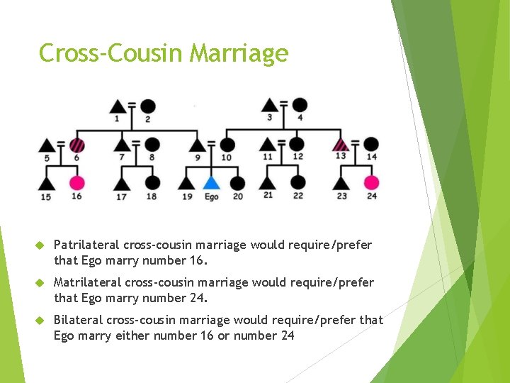 Cross-Cousin Marriage Patrilateral cross-cousin marriage would require/prefer that Ego marry number 16. Matrilateral cross-cousin