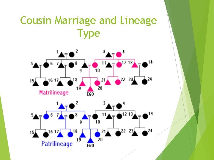 Cousin Marriage and Lineage Type 