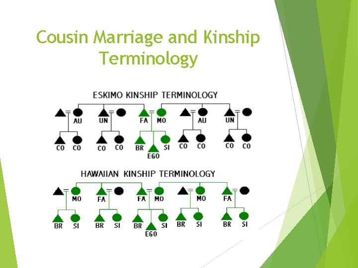 Cousin Marriage and Kinship Terminology 