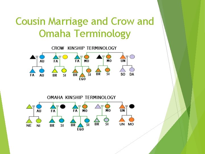 Cousin Marriage and Crow and Omaha Terminology 