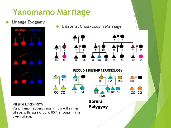 Yanomamo Marriage Lineage Exogamy Bilateral Cross-Cousin Marriage Village Endogamy Yanomamo frequently marry from within