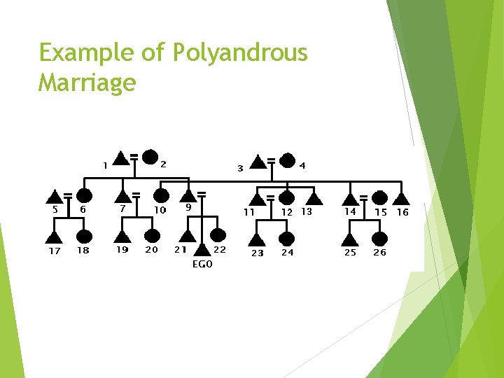 Example of Polyandrous Marriage 