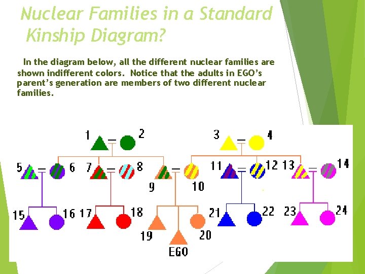 Nuclear Families in a Standard Kinship Diagram? In the diagram below, all the different