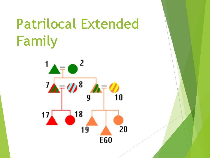 Patrilocal Extended Family 