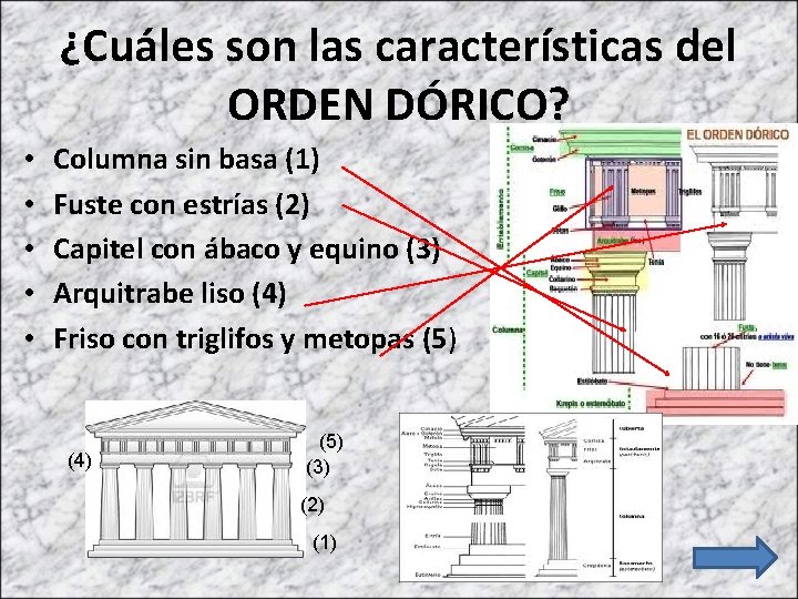 ¿Cuáles son las características del ORDEN DÓRICO? • • • Columna sin basa (1)