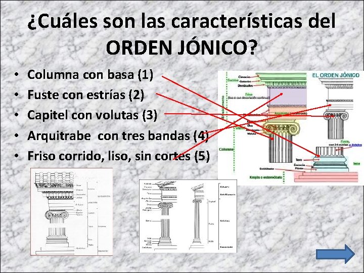 ¿Cuáles son las características del ORDEN JÓNICO? • • • Columna con basa (1)