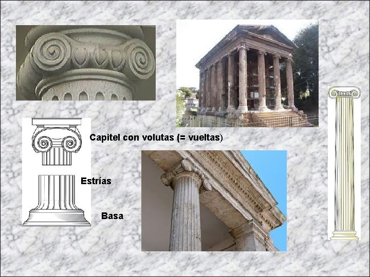 Capitel con volutas (= vueltas) Estrías Basa 