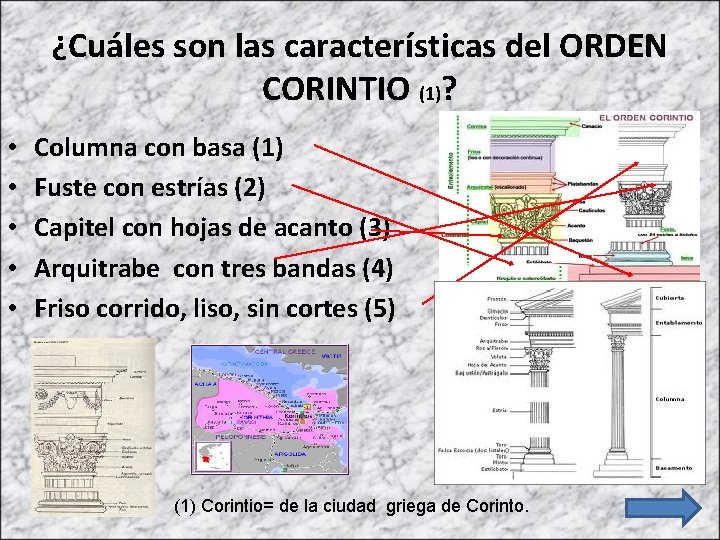 ¿Cuáles son las características del ORDEN CORINTIO (1)? • • • Columna con basa