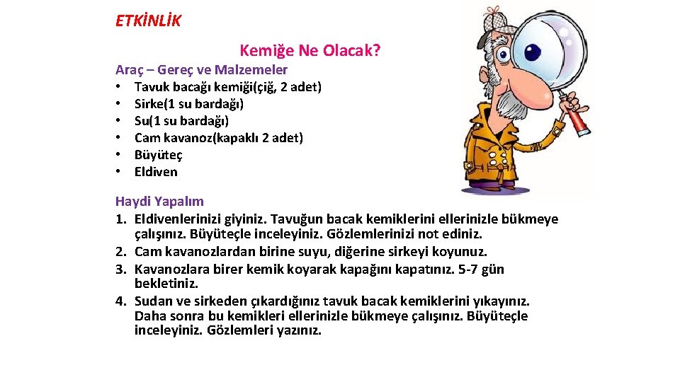 ETKİNLİK Kemiğe Ne Olacak? Araç – Gereç ve Malzemeler • Tavuk bacağı kemiği(çiğ, 2