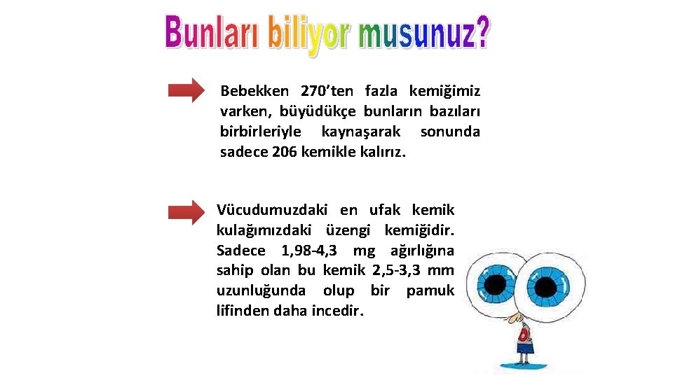 Bebekken 270’ten fazla kemiğimiz varken, büyüdükçe bunların bazıları birbirleriyle kaynaşarak sonunda sadece 206 kemikle