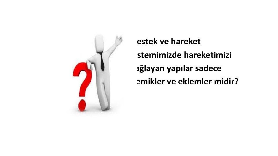 Destek ve hareket sistemimizde hareketimizi sağlayan yapılar sadece kemikler ve eklemler midir? 