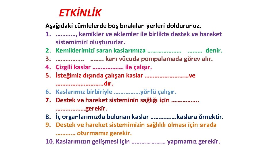 ETKİNLİK Aşağıdaki cümlelerde boş bırakılan yerleri doldurunuz. 1. …………, kemikler ve eklemler ile birlikte