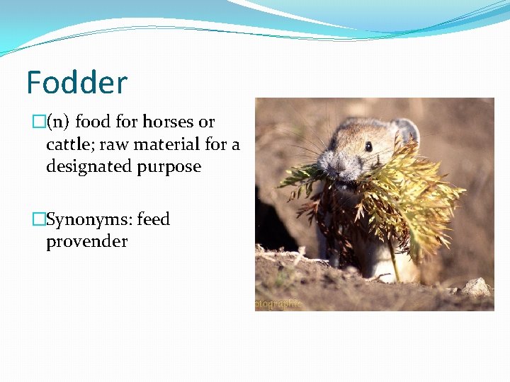 Fodder �(n) food for horses or cattle; raw material for a designated purpose �Synonyms:
