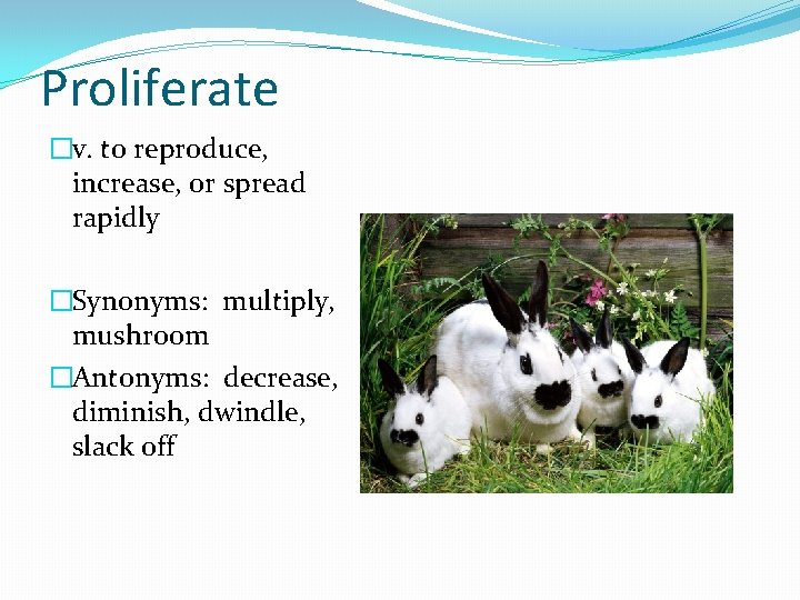 Proliferate �v. to reproduce, increase, or spread rapidly �Synonyms: multiply, mushroom �Antonyms: decrease, diminish,