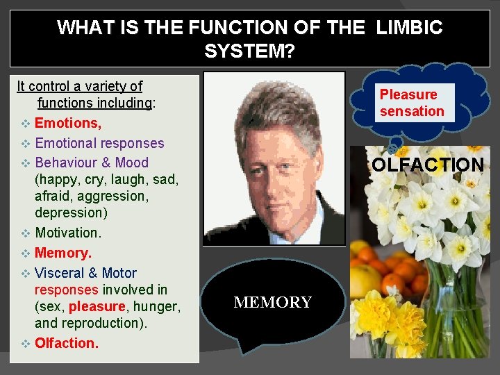 WHAT IS THE FUNCTION OF THE LIMBIC SYSTEM? It control a variety of functions