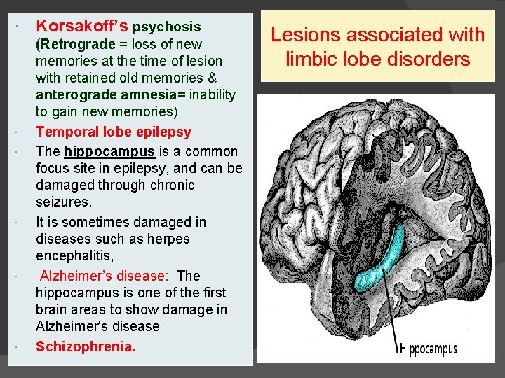  Korsakoff’s psychosis (Retrograde = loss of new memories at the time of lesion