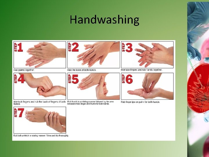 Handwashing 15 