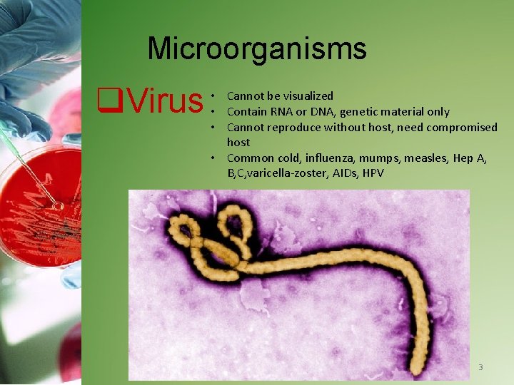 Microorganisms q. Virus • Cannot be visualized • Contain RNA or DNA, genetic material