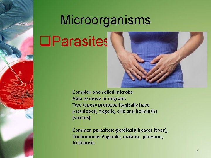 Microorganisms q. Parasites Complex one celled microbe Able to move or migrate: Two types=