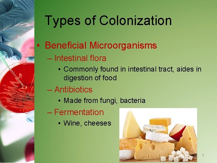 Types of Colonization • Beneficial Microorganisms – Intestinal flora • Commonly found in intestinal