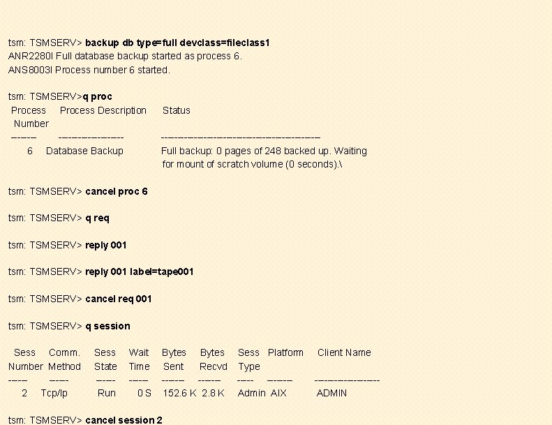tsm: TSMSERV> backup db type=full devclass=fileclass 1 ANR 2280 I Full database backup started