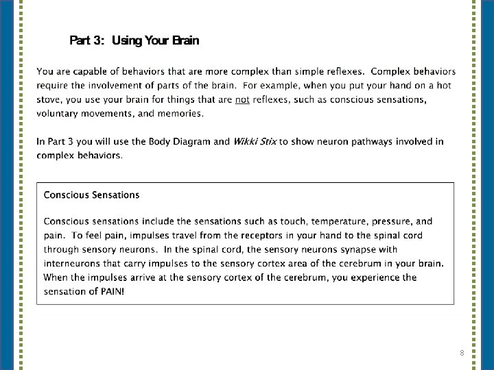Hand on a Hot Stove A Neurobiology Activity