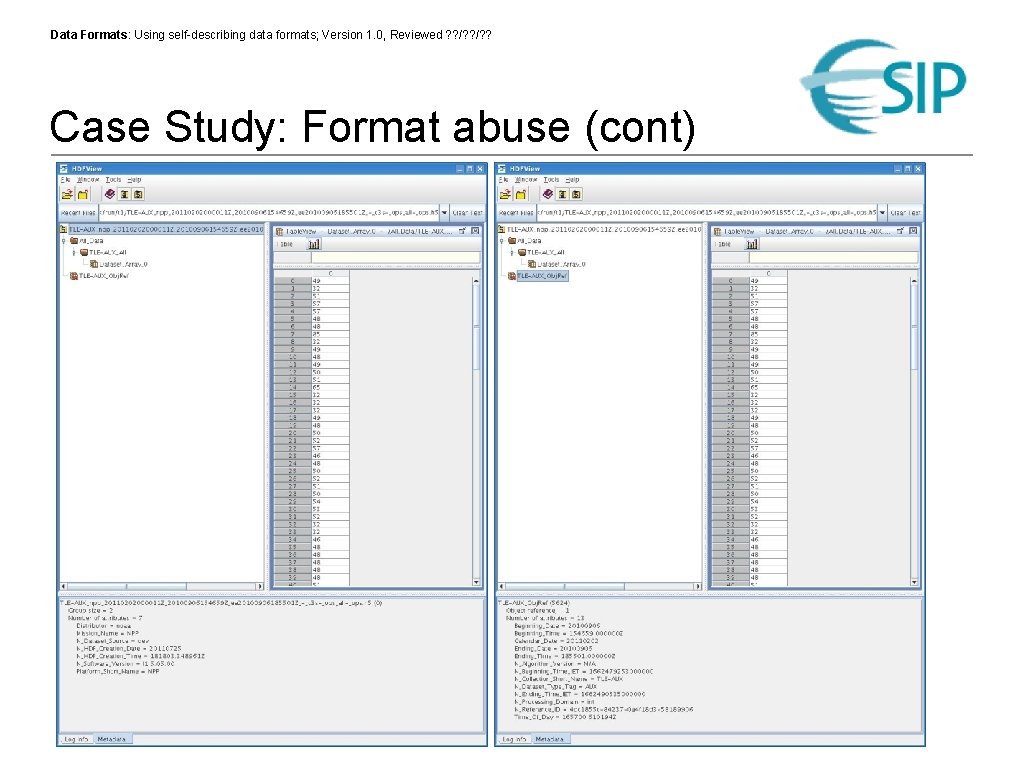 Data Formats: Using self-describing data formats; Version 1. 0, Reviewed ? ? /? ?