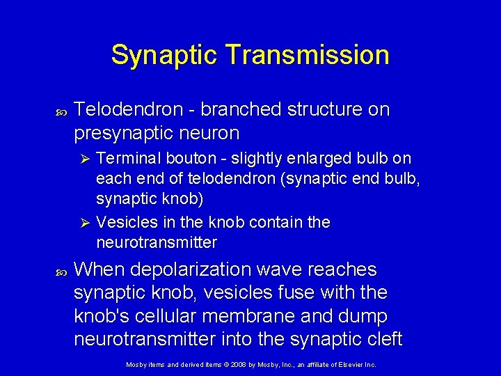 Synaptic Transmission Telodendron - branched structure on presynaptic neuron Terminal bouton - slightly enlarged Synaptic Transmission Telodendron - branched structure on presynaptic neuron Terminal bouton - slightly enlarged