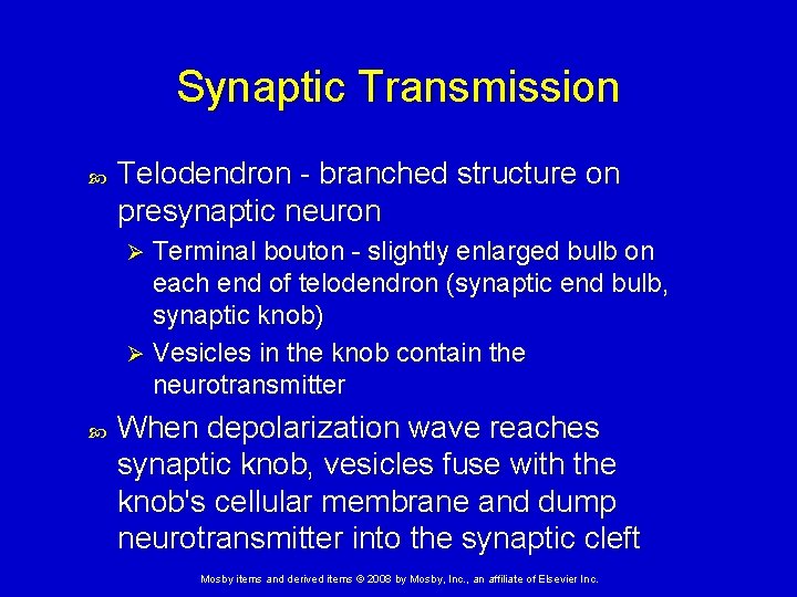 Synaptic Transmission Telodendron - branched structure on presynaptic neuron Terminal bouton - slightly enlarged