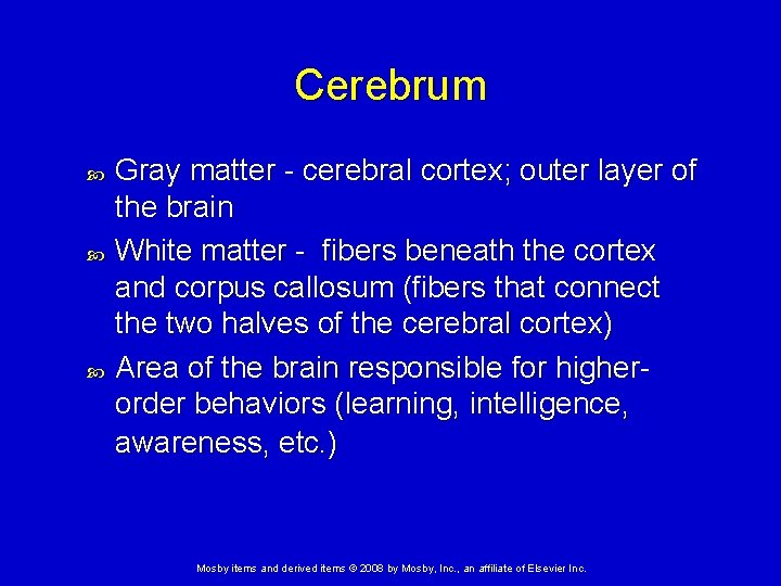 Cerebrum Gray matter - cerebral cortex; outer layer of the brain White matter -