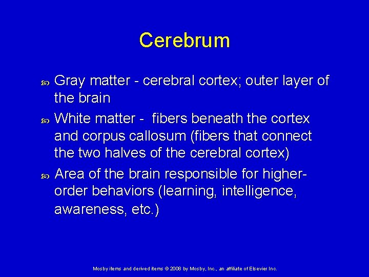 Cerebrum Gray matter - cerebral cortex; outer layer of the brain White matter - Cerebrum Gray matter - cerebral cortex; outer layer of the brain White matter -