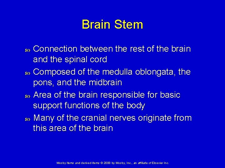 Brain Stem Connection between the rest of the brain and the spinal cord Composed