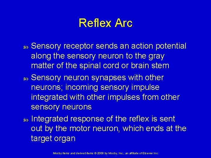 Reflex Arc Sensory receptor sends an action potential along the sensory neuron to the