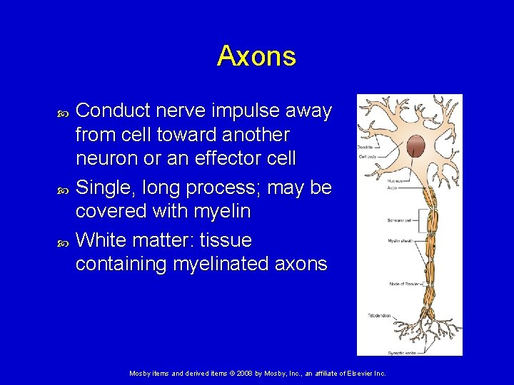 Axons Conduct nerve impulse away from cell toward another neuron or an effector cell