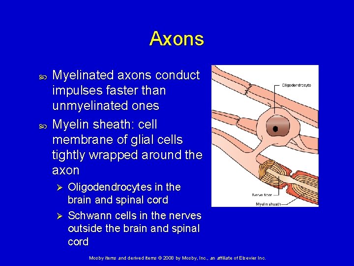 Axons Myelinated axons conduct impulses faster than unmyelinated ones Myelin sheath: cell membrane of Axons Myelinated axons conduct impulses faster than unmyelinated ones Myelin sheath: cell membrane of